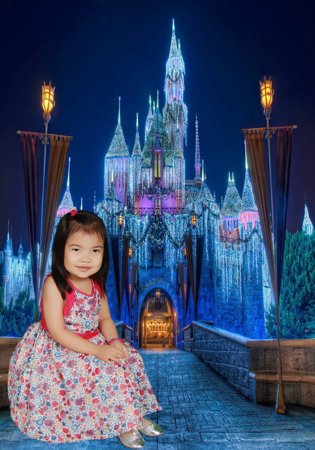 Disneyland Christmase Castles